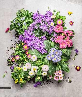 自然與蔬食的融合 蔬菜主題花卉園藝平面設(shè)計素材高清圖集